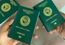 Immigration Service pegs new passport fees at N100,000, N200,000